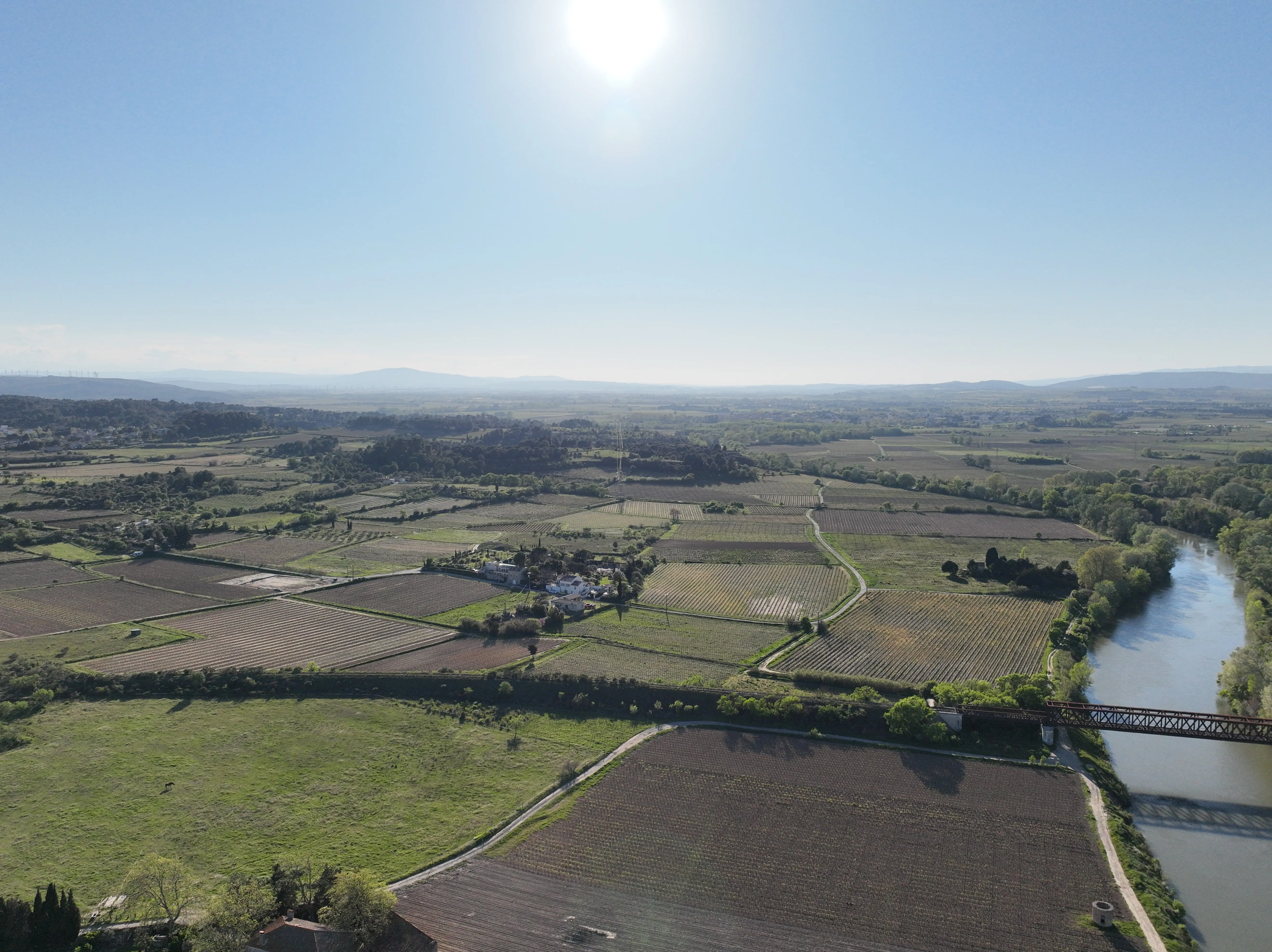 Vignes vues du ciel