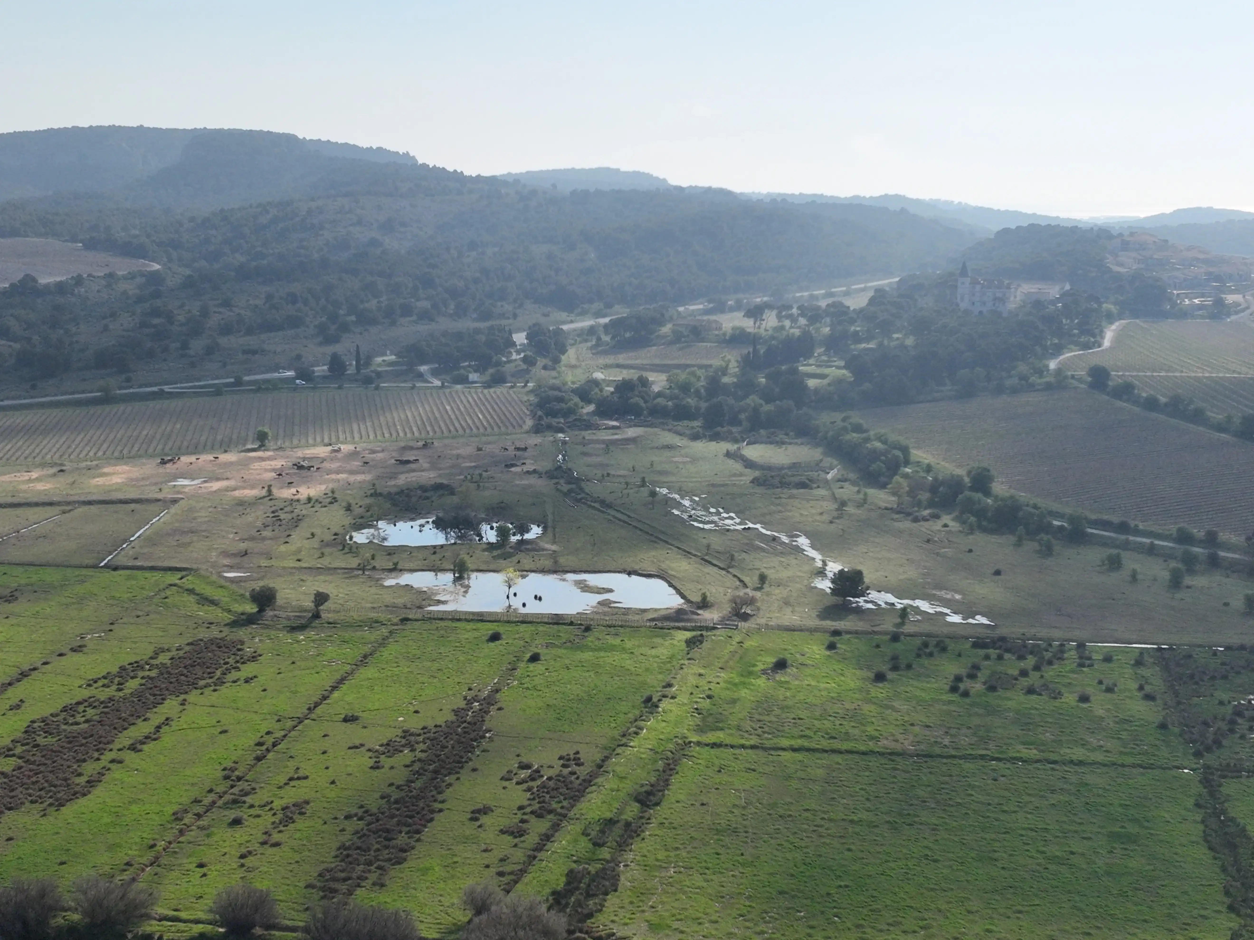 Domaine du Capitoule - Gruissan